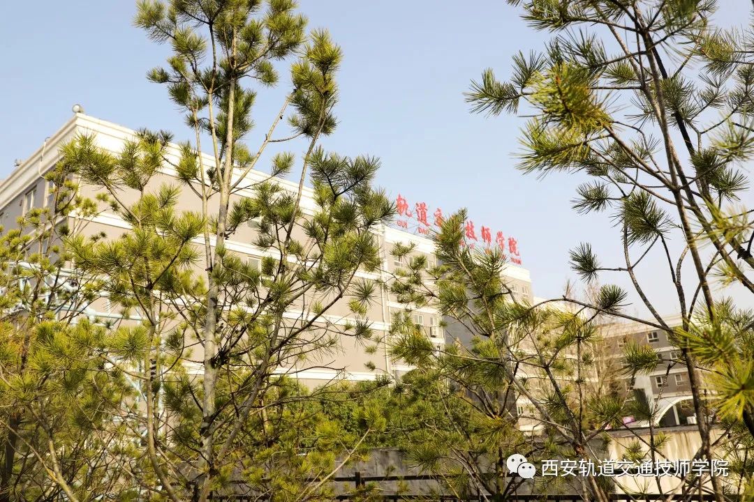 植树节|西安轨道交通技师学院植绿护绿 青年当先